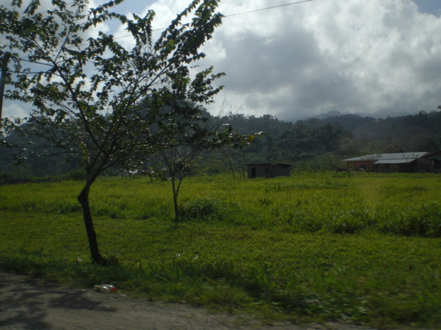 CIMG8513