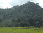 CIMG8515
