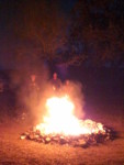 CIMG0016.JPG