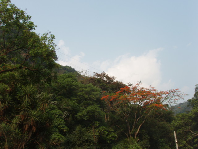 P5120013
