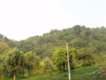 P5120014