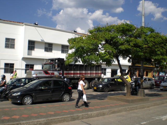 CIMG0130