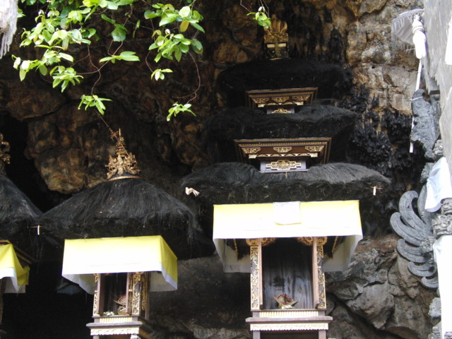 CIMG0786.JPG